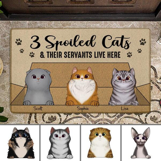 Spoiled Cats And Their Servants Live Here Personalized Doormat DM-NN639