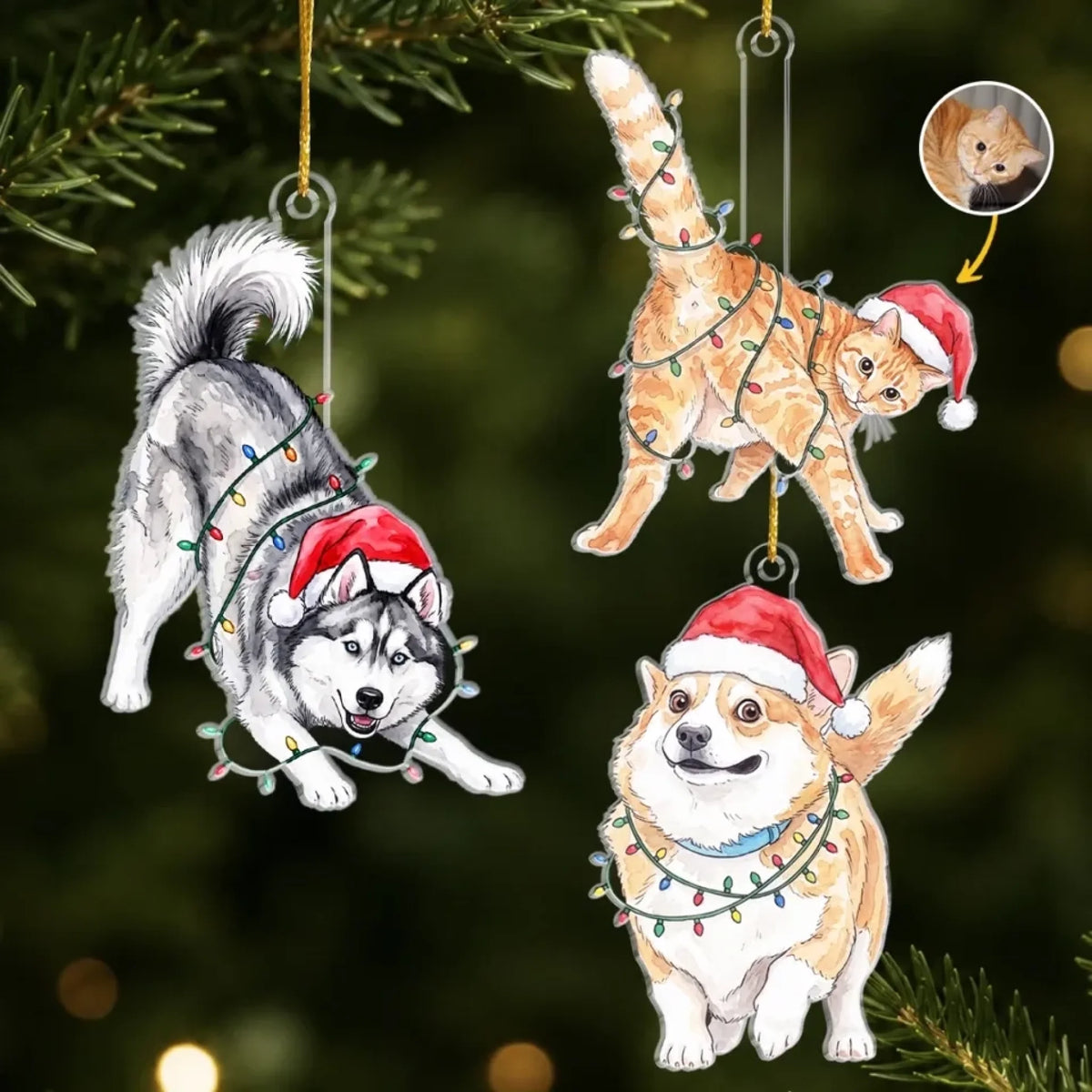 261001_66aDEBawiWb5GuQA_large