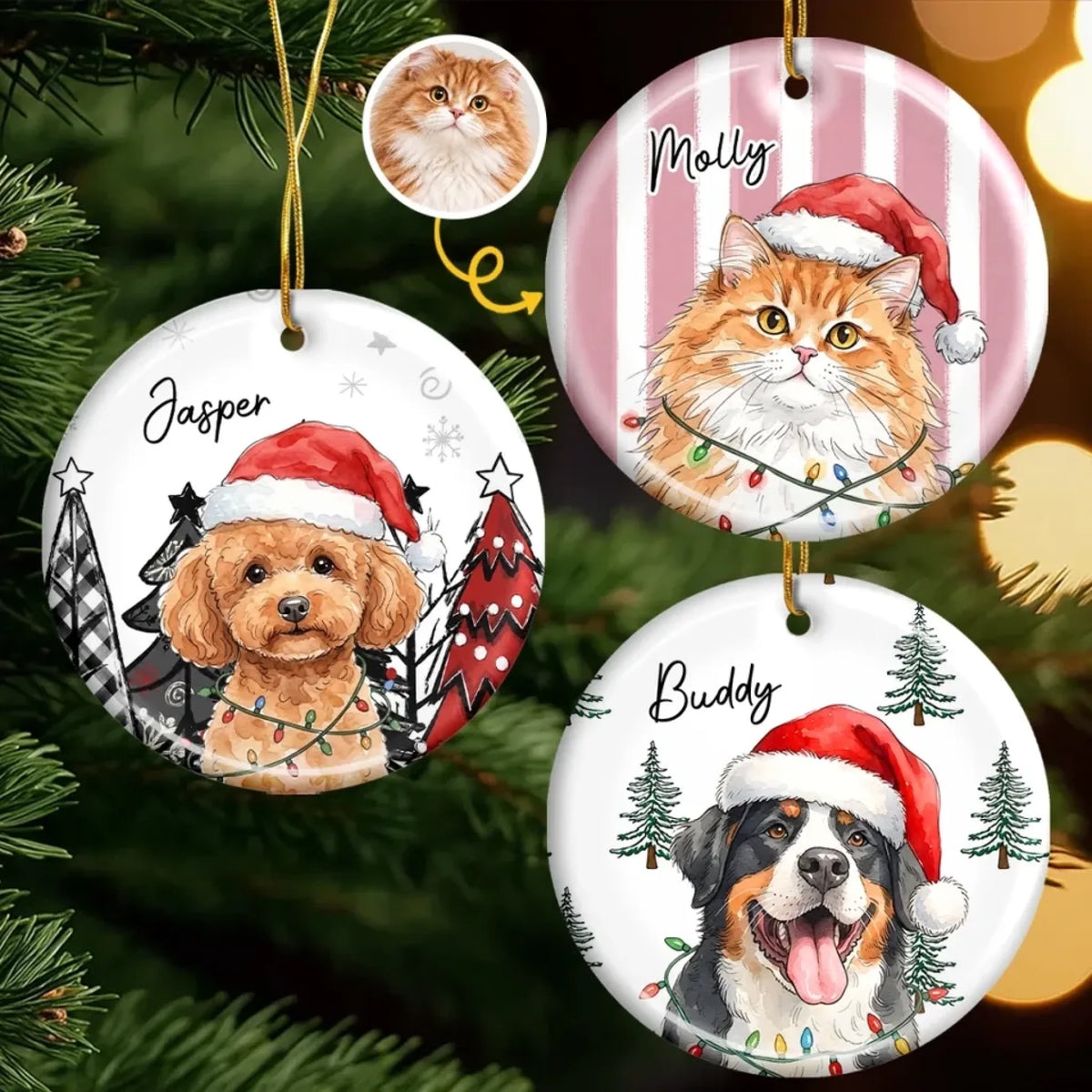 261007_98PPpFqZGHmMvGiD_large