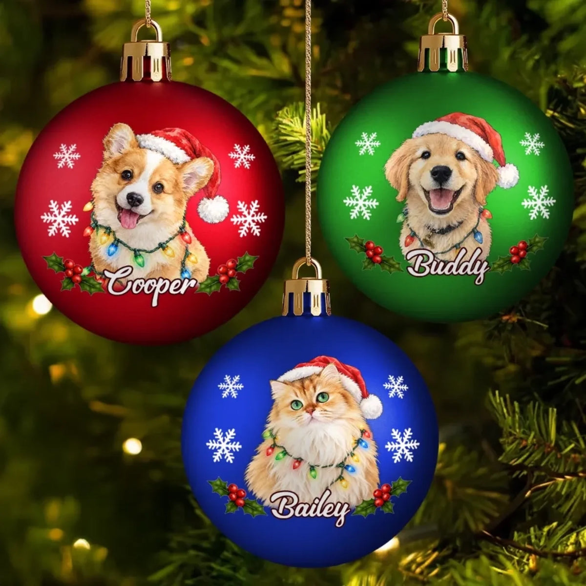 261017_X4HqdQjTg1CrOtFy_large
