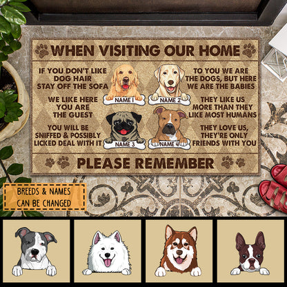 When Visiting Our Home, Please Remember, Funny Dog Rules, Argyle Pattern Background, Personalized Dog Lovers Door Mat